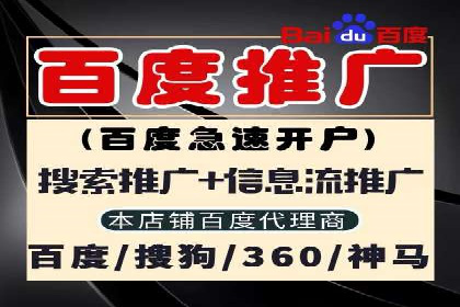 案例研究：竞价广告助力企业品牌升级